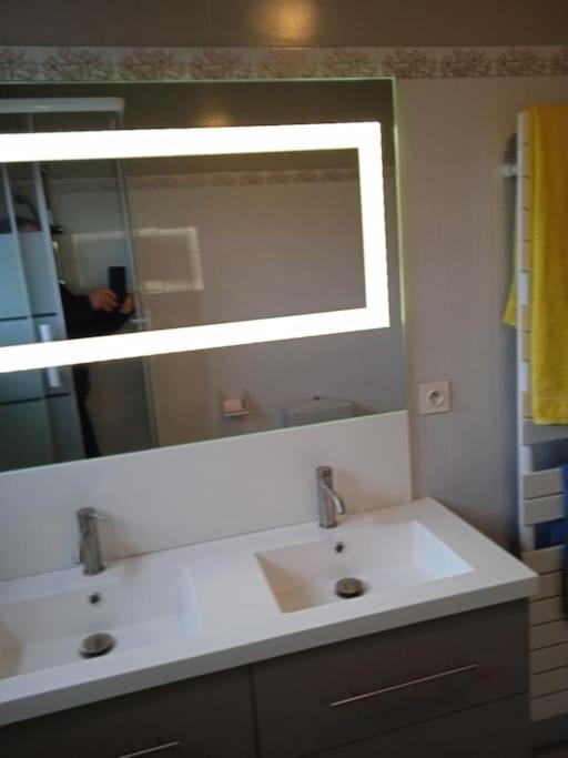 St Malo Maison Avec Jardin Proche Gare Intramuros Chien Admis Parking Gratuit Holiday home *